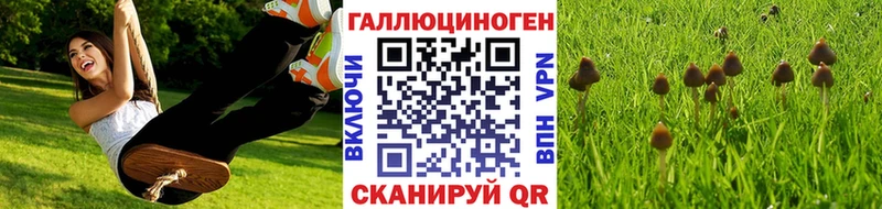 Галлюциногенные грибы GOLDEN TEACHER  наркота  Бабаево 